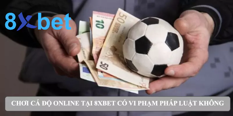 Từ A-Z về luật cá độ bóng đá cho bet thủ tại Việt Nam Chơi cá độ online tại 8xbet có vi phạm pháp luật không